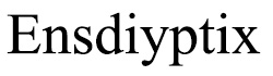 Ensdiyptix